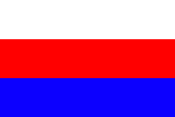 ロシティヤ国旗.png