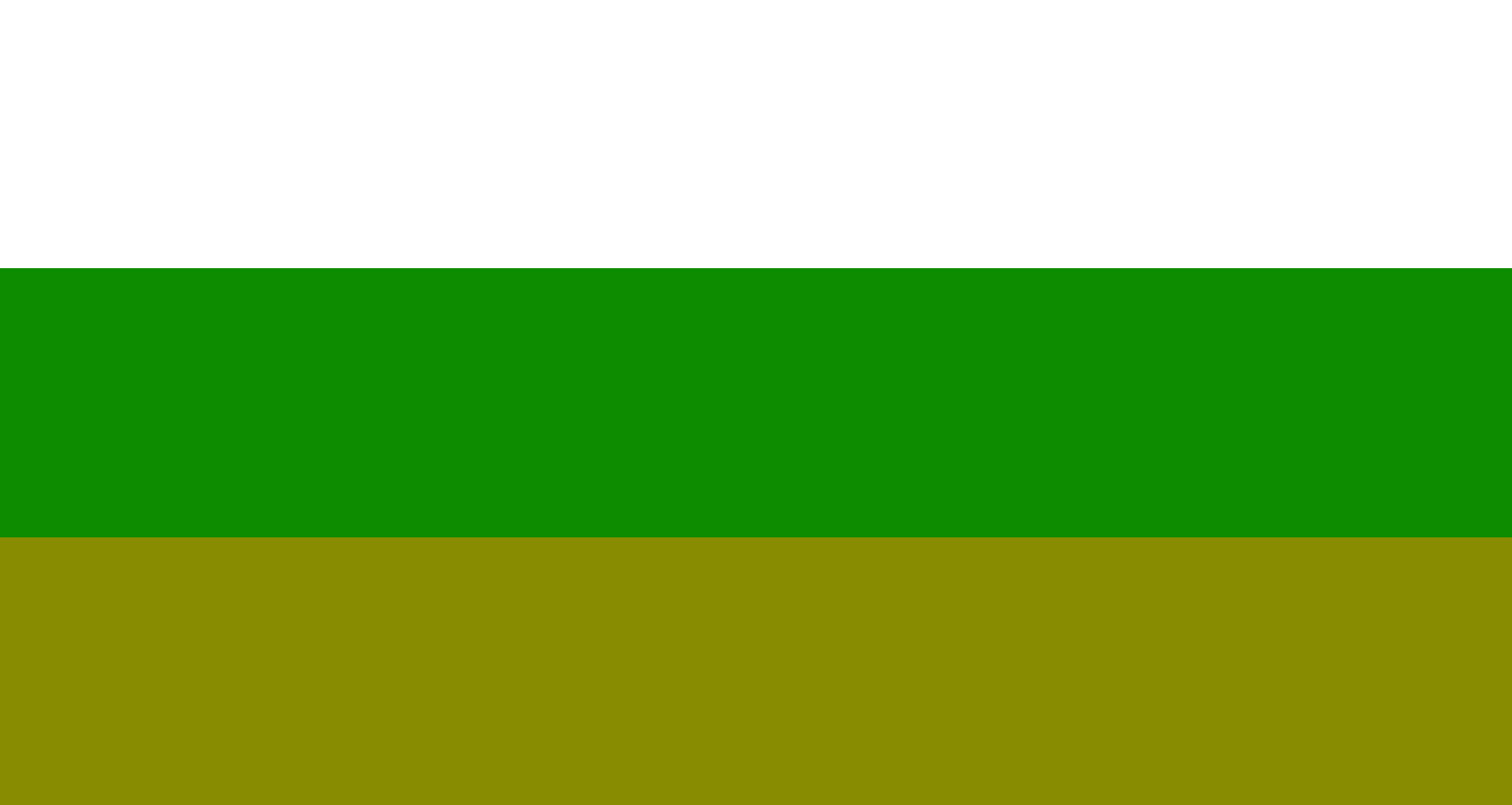 export1701477356069.png